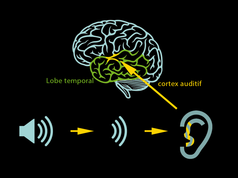 Image de parcours-son.png